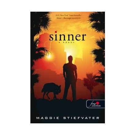 Sinner - A bűnös (puha táblás)