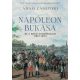 Napóleon bukása és a bécsi kongresszus (1814-1815)