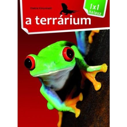 Terrárium