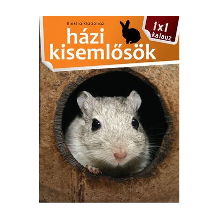 1x1 Házi kisemlősök