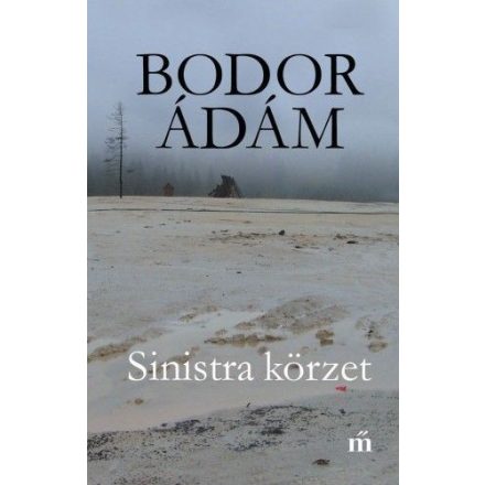 Sinistra körzet