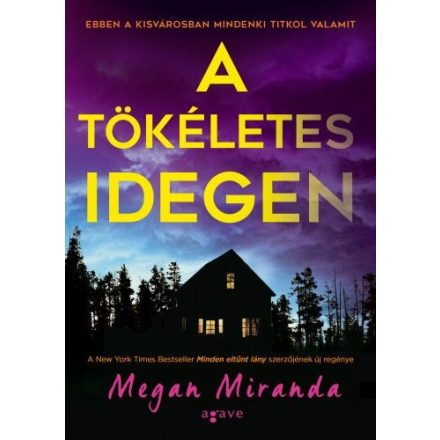 A tökéletes idegen