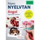 PONS Képes nyelvtan - Angol - Végre értem a nyelvtant