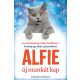 Alfie új munkát kap – Tanulj önismeretet egy bölcs cicától!