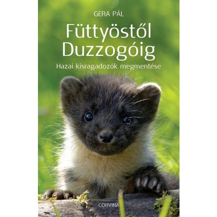 Füttyöstől Duzzogóig – Hazai kisragadozók megmentése