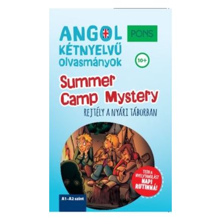 PONS Summer Camp Mystery