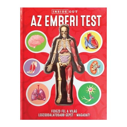 Az emberi test