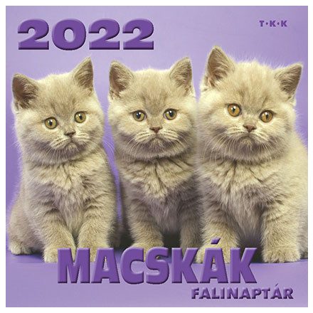 Macskák  Falinaptár 2022