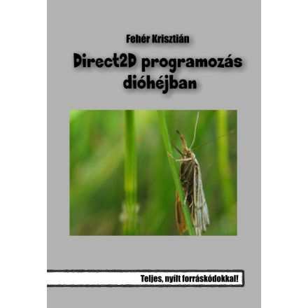 Direct 2D programozás dióhéjban