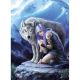 Anne Stokes Collection-Protector (1000)