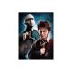 Harry Potter - 500 db-os puzzle - Clementoni