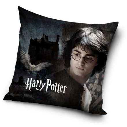 Harry Potter párnahuzat 40*40 cm