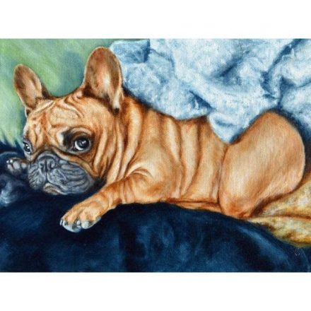 Gyémántszemes kirakó Francia bulldog kölyök 30x40 cm