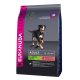 -Eukanuba Adult Small&Medium Salmon & Barley 2,5kg