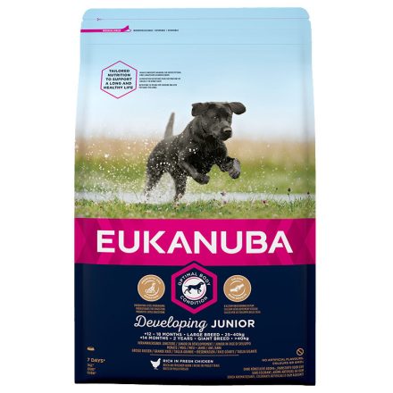 -Eukanuba Junior Large 3kg