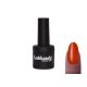 Géllakk 6ml #314 Paradicsom