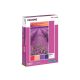 1000 db-os puzzle - Pantone 674 - Levend