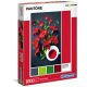 1000 db-os puzzle - Pantone 186 - Hibisz