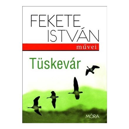 Tüskevár