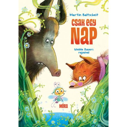 CSAK EGY NAP