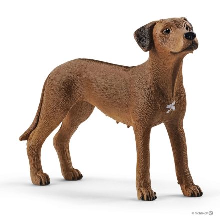 Schleich 13895 Afrikai oroszlánkutya