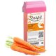 Carrot Roll-On Gyantapatron (100ml)