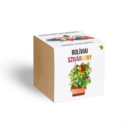 Bolíviai szivárvány chili paprika növényem fa kockában