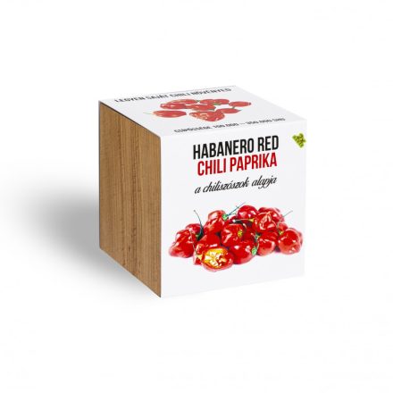 Piros habanero chili paprika növényem fa kockában