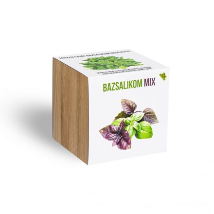 Bazsalikom mix növényem fa kockában